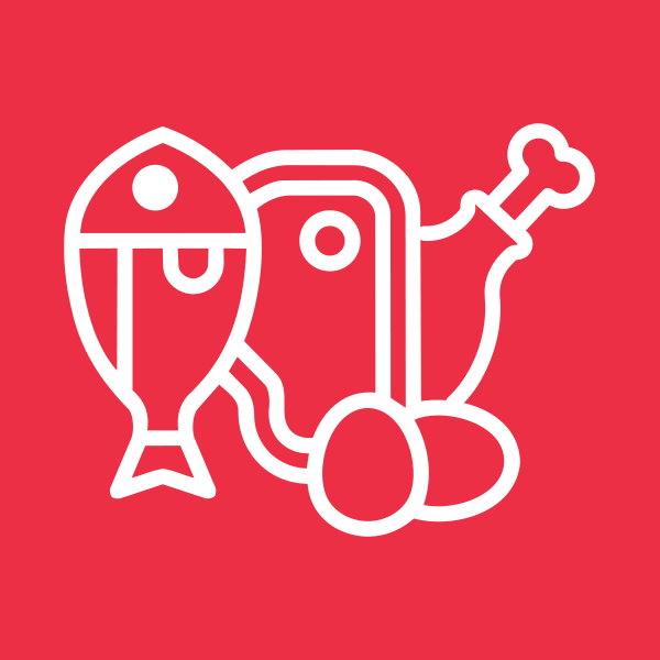 پروتئین