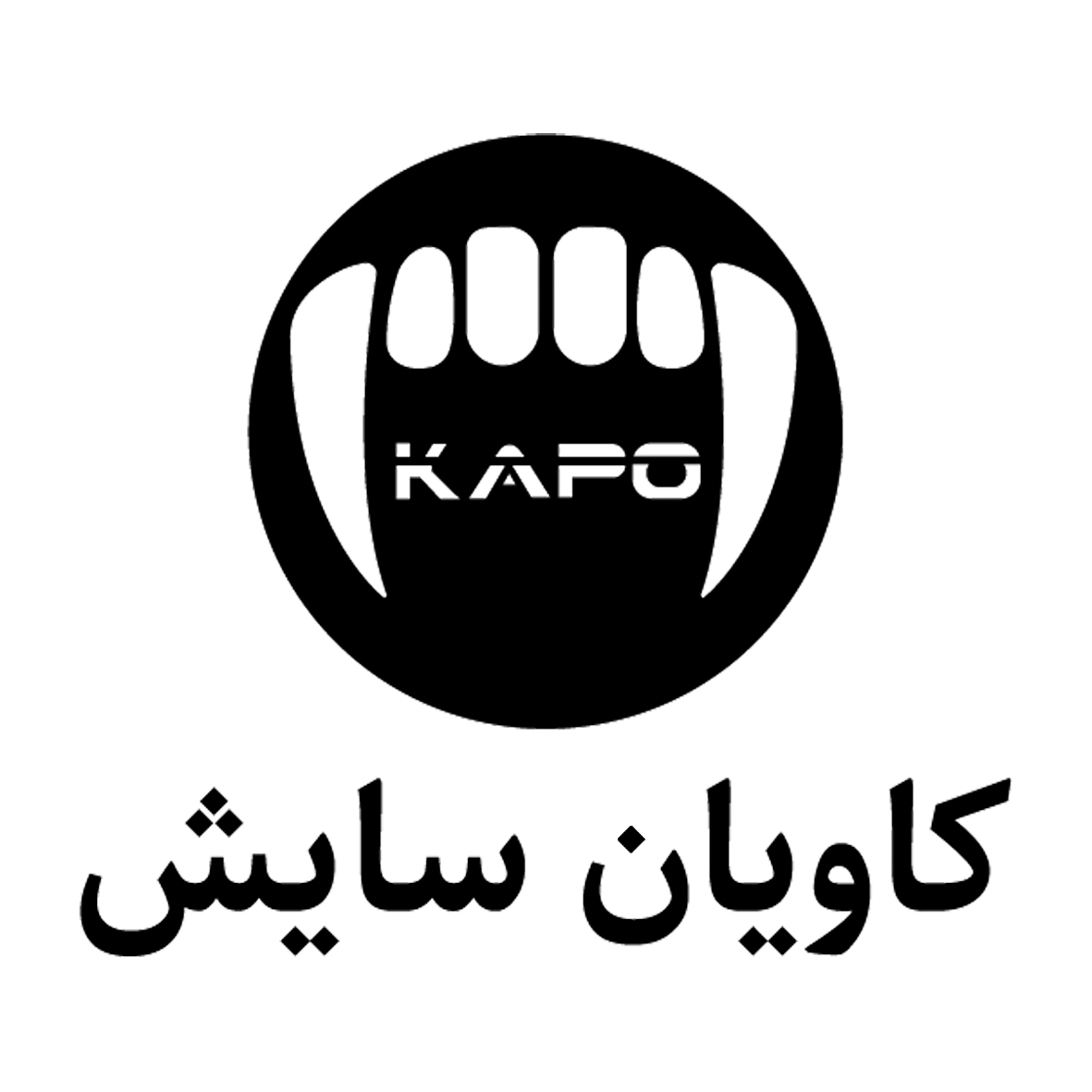کاویان سایش پویا