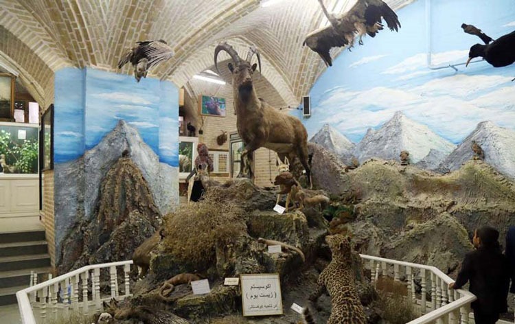 موزه  تاریخ طبیعی