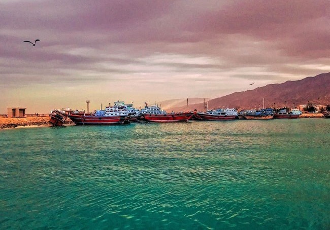 بندر نخل تقی