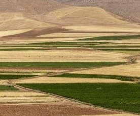 دشت خواف