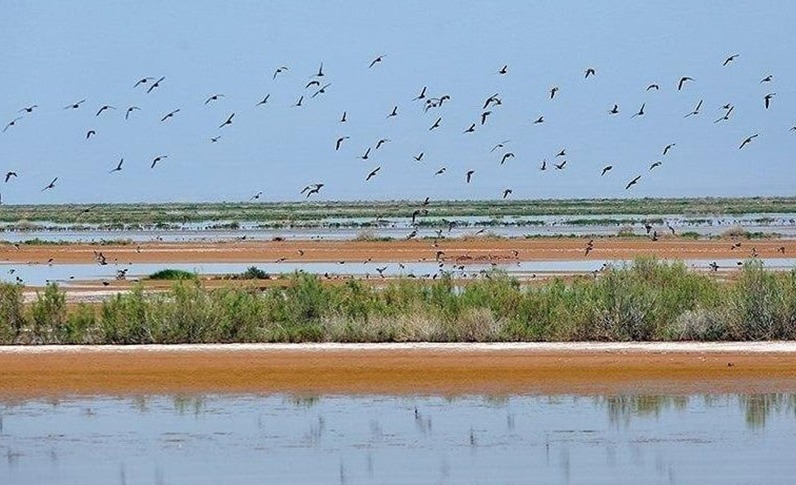 حوض مره