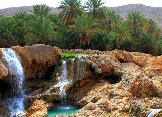 دشت گل‌های حاجی‌آباد