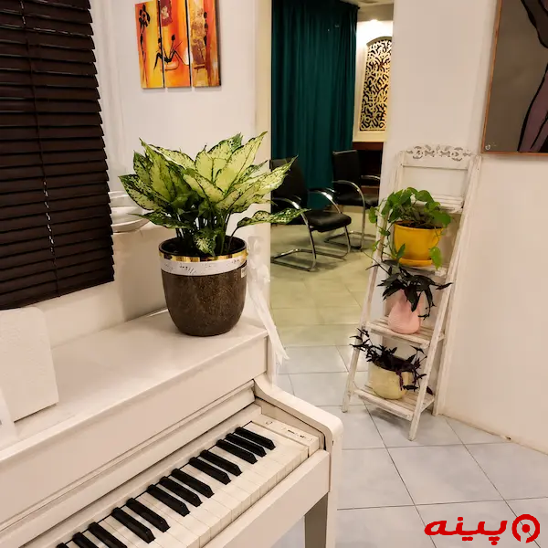 آموزشگاه موسیقی نوین