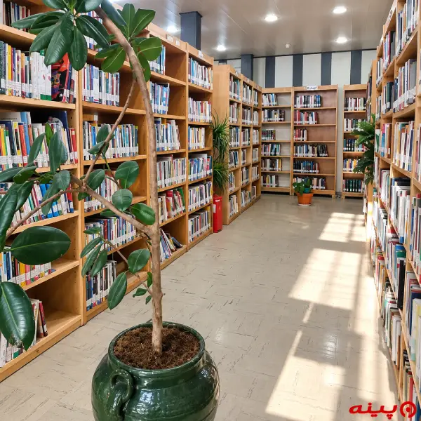 کتابخانه استاد امیری فیروزکوهی