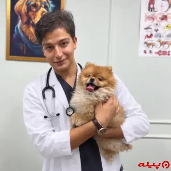کلینیک دامپزشکی تخصصی پت تو در گیشا
