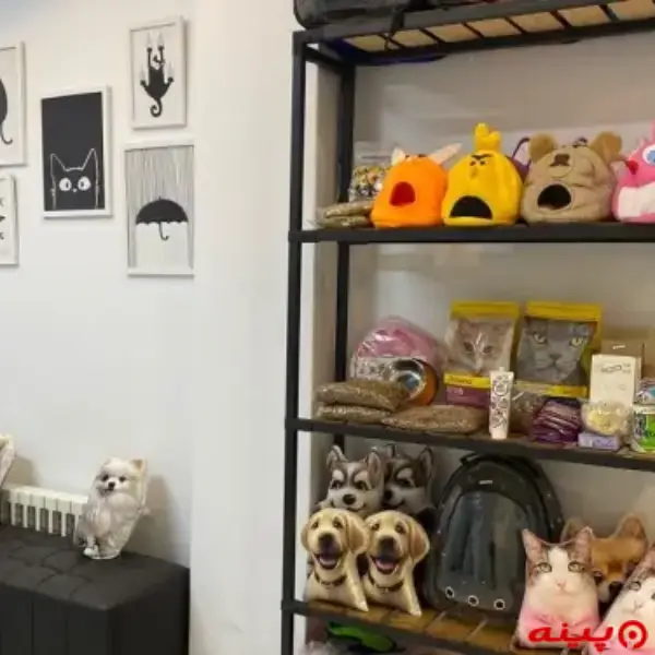 کلینیک دامپزشکی میراکل در تهرانپارس