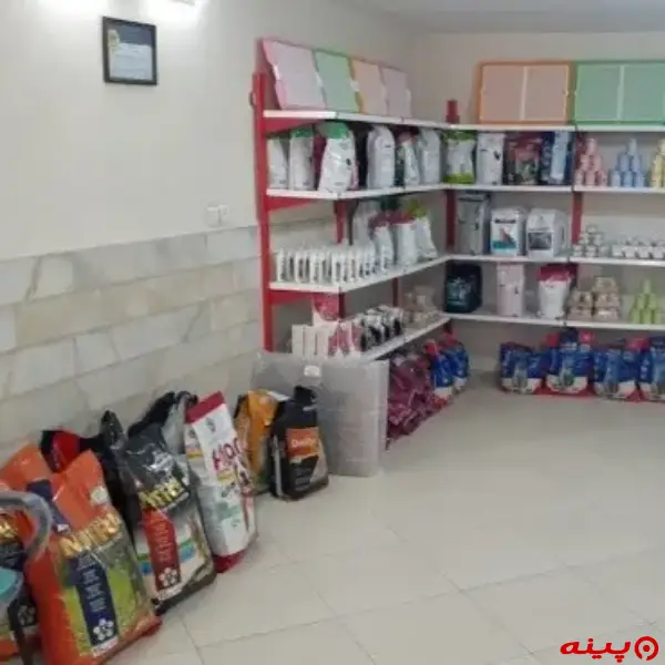 کلینیک دامپزشکی ستاره ری در شهر ری