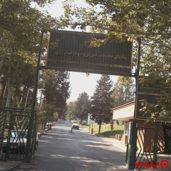 سازمان تحقیقات آموزش و ترویج کشاورزی