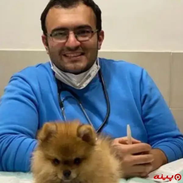 دامپزشکی دکتر صداقت در پردیس فاز یک