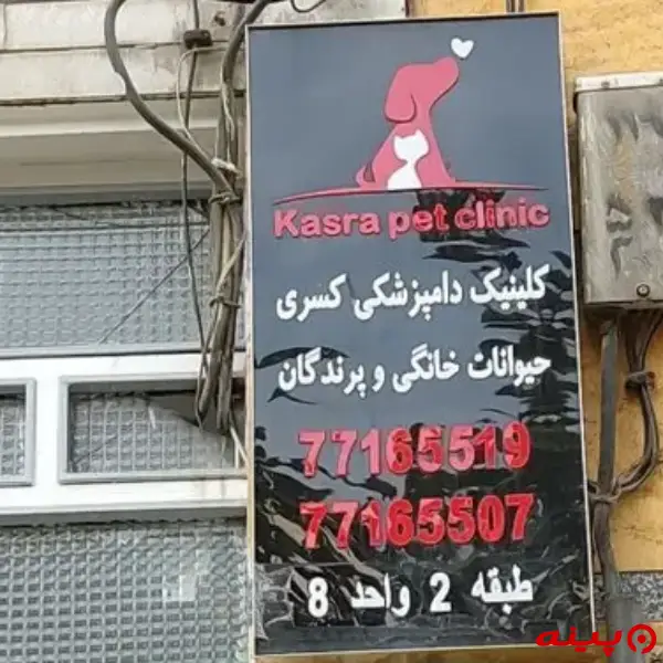 کلینیک دامپزشکی و پت شاپ کسری پیروزی