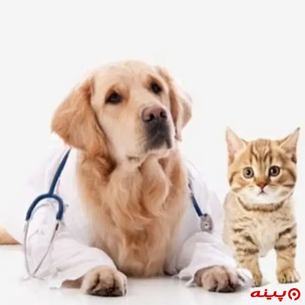 کلینیک دامپزشکی روژان در نیروهوایی