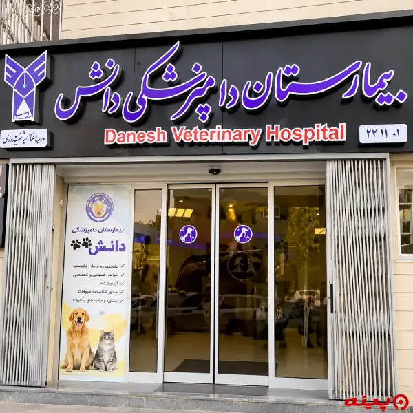 بیمارستان دامپزشکی شبانه روزی دانش در سعادت آباد