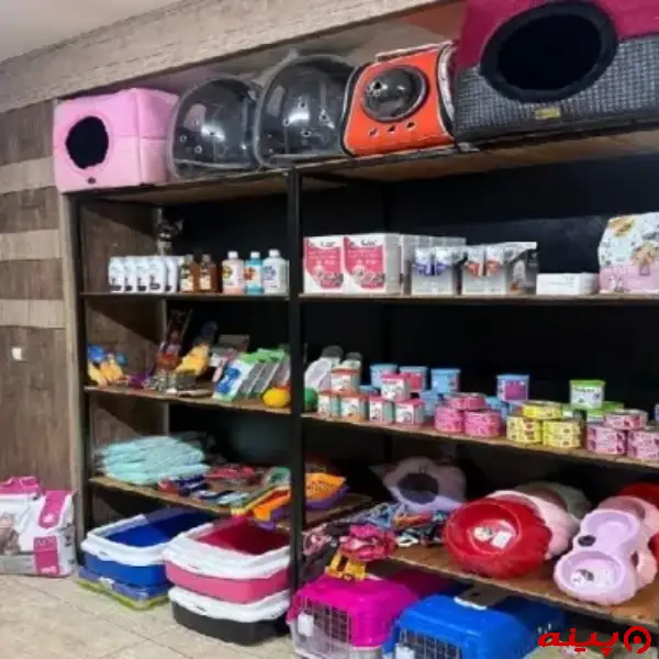 کلینیک دامپزشکی دکتر عسکری در دولت آباد شهرری