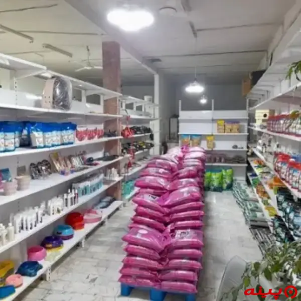 کلینیک دامپزشکی دکتر خطیبی در ورامین