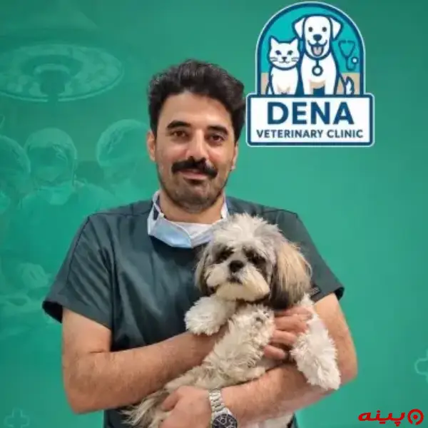 کلینیک دامپزشکی دنا در سعادت آباد