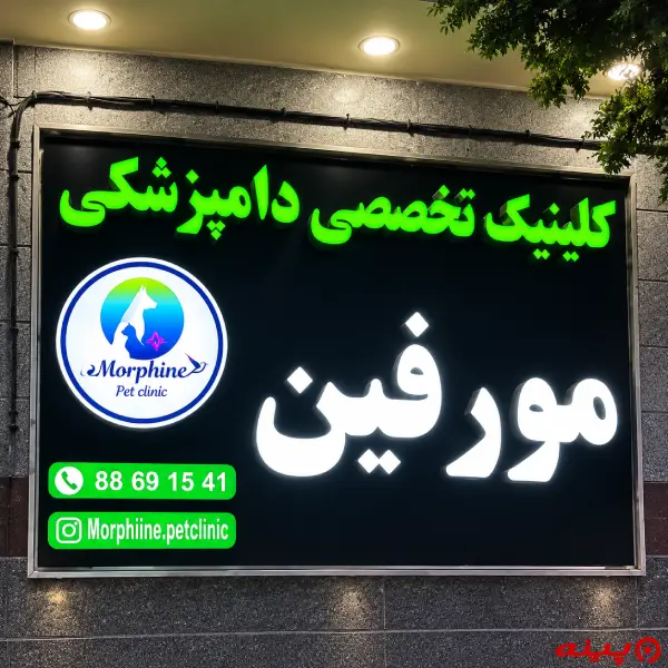 کلینیک تخصصی دامپزشکی مورفین در سعادت آباد