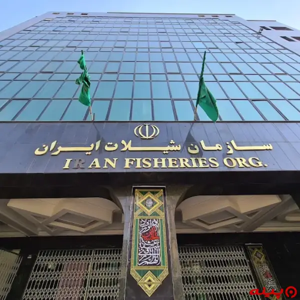 سازمان شیلات ایران