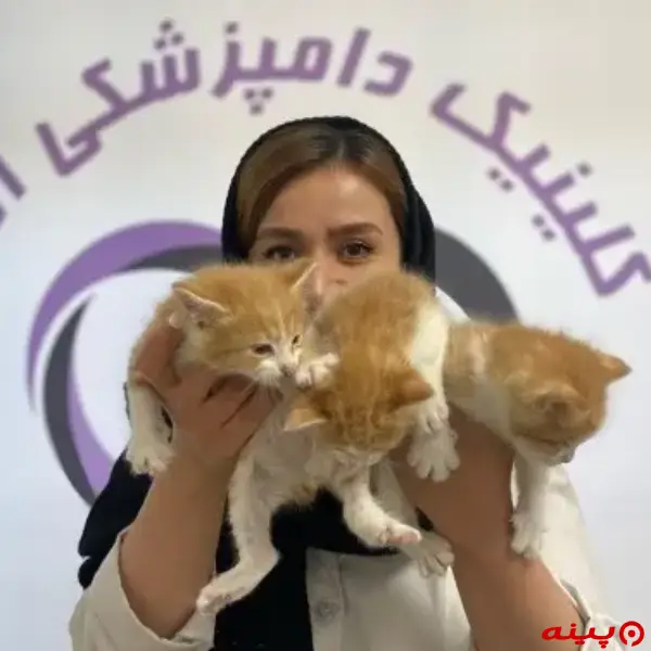 کلینیک دامپزشکی آلما در سهروردی