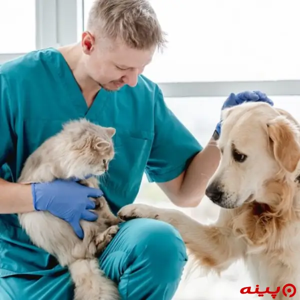 کلینیک دامپزشکی بیطار (دکتر حسام شرفی) در شریعتی