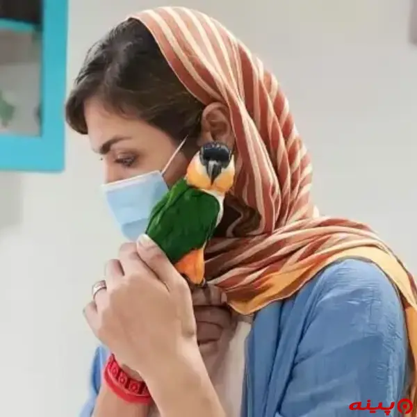 کلینیک دامپزشکی بهین در توحید