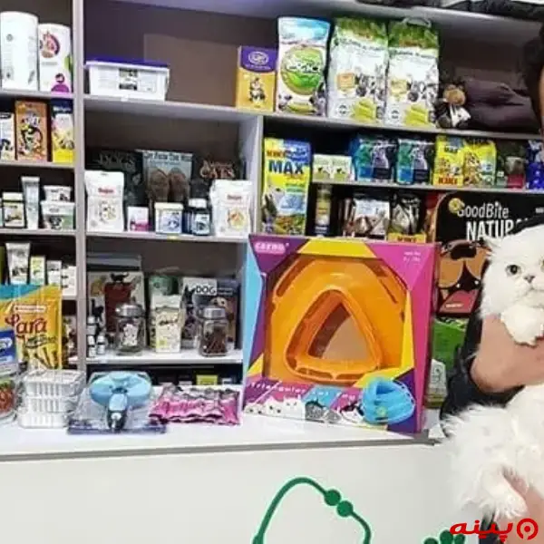 کلینیک دامپزشکی دکتر پیمان مقدس در اندیشه