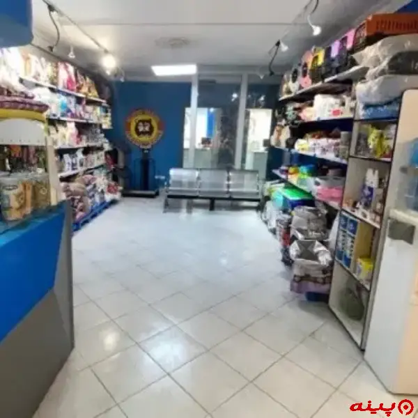 کلینیک دامپزشکی وی آی پت در سعادت آباد
