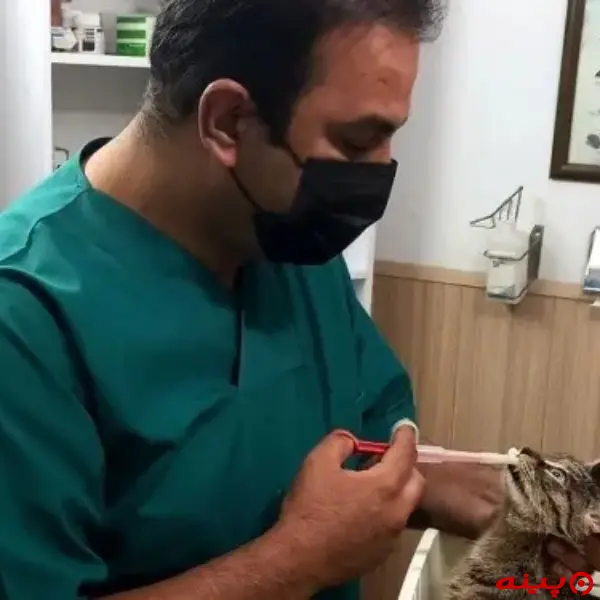 کلینیک دامپزشکی دکتر آرش در لواسان