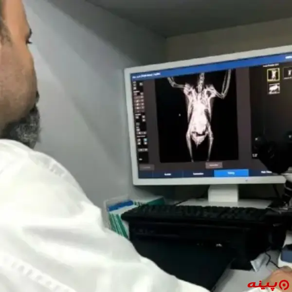 کلینیک دامپزشکی پیچا در پونک