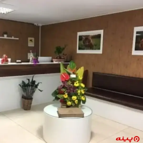 کلینیک دامپزشکی سپیدار در سعادت آباد