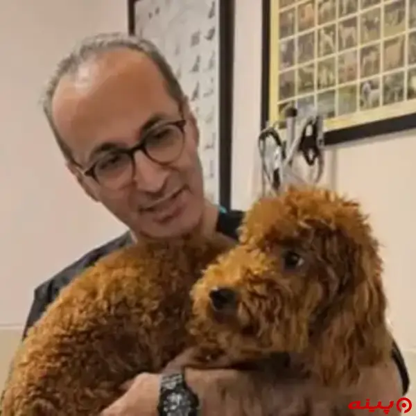 کلینیک دامپزشکی نوین پت در پاسداران