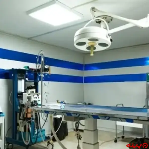 کلینیک دامپزشکی اکسیژن در سیدخندان
