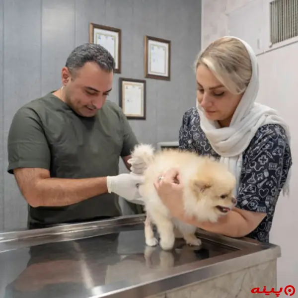 کلینیک دامپزشکی اکباتان