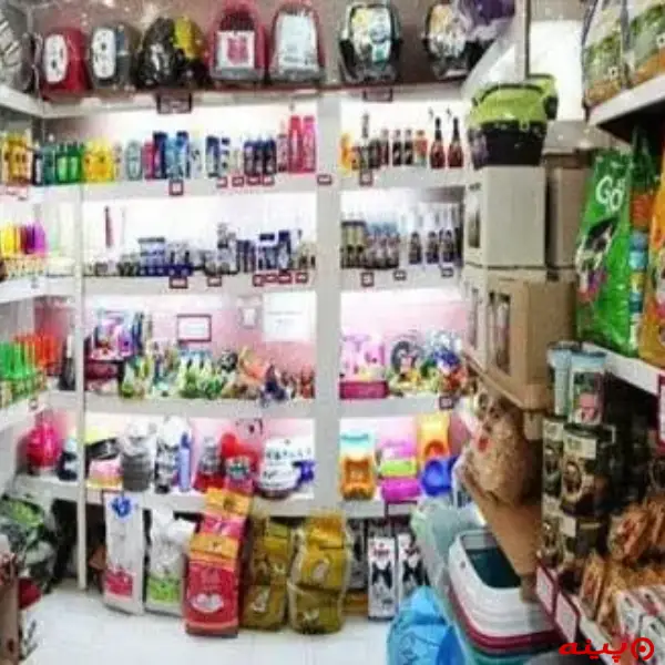 کلینیک دامپزشکی آوا در اشرفی اصفهانی