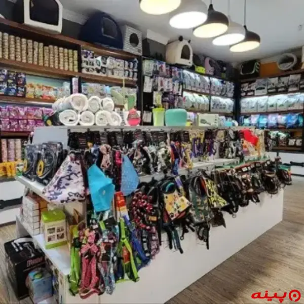 کلینیک دامپزشکی جم در تهرانپارس