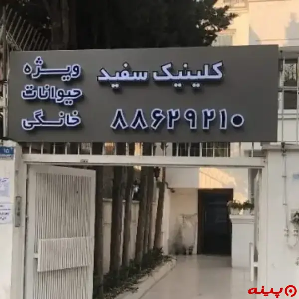 کلینیک دامپزشکی سفید در ملاصدرا