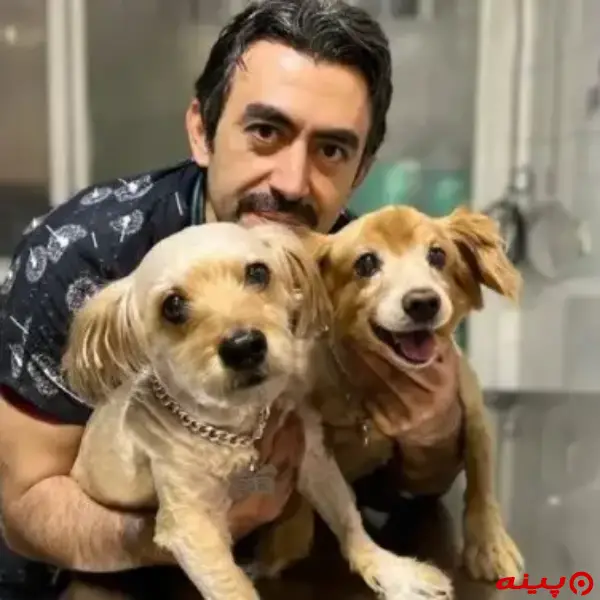 کلینیک دامپزشکی کارا در ستاری