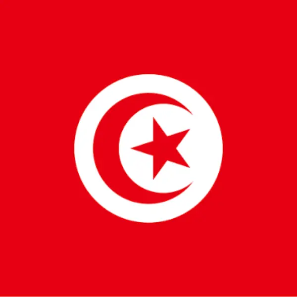 سفارت تونس