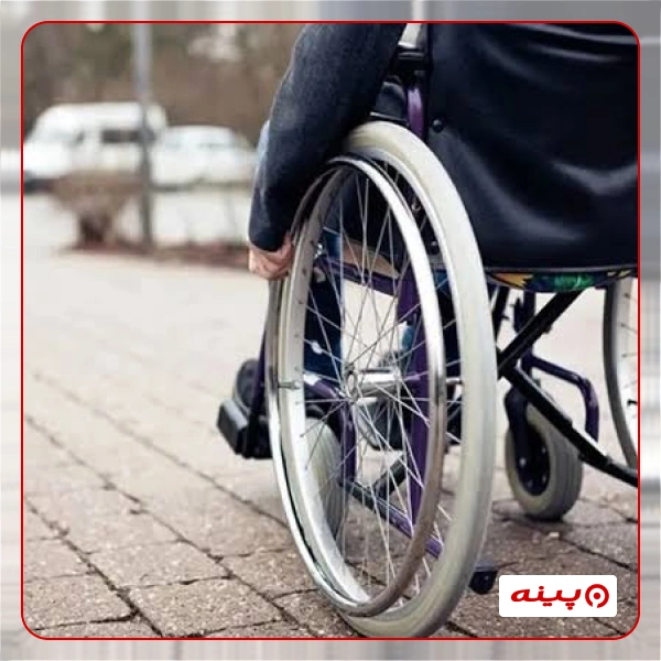  انجمن ندای معلولین ایران
