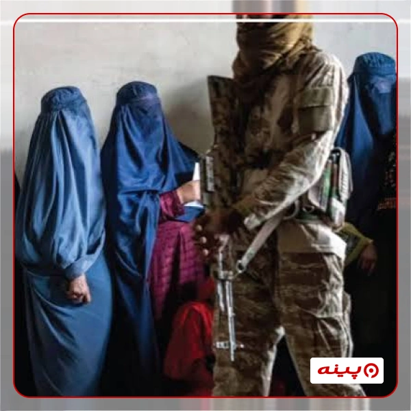  مهر و ماه شمیرانات - موسسه توانمندسازی مهر و ماه شمیرانات