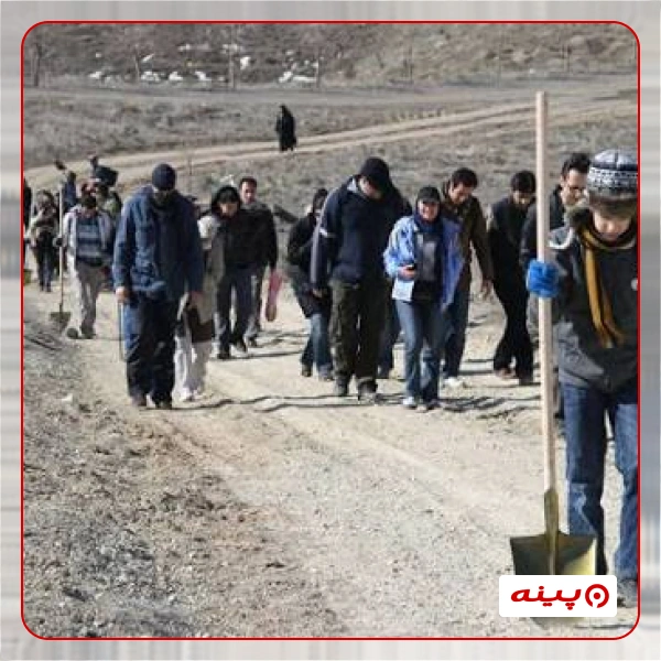 جمعیت داوطلبان سبز