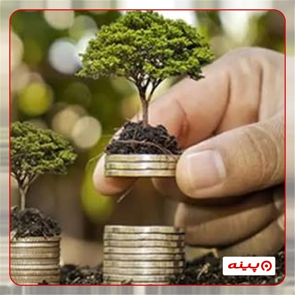 خیریه نیکوکاری یاس خورشید فدک