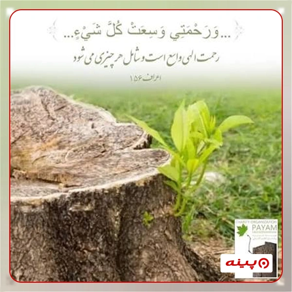 خیریه پیام حاج کاظم کاشانی