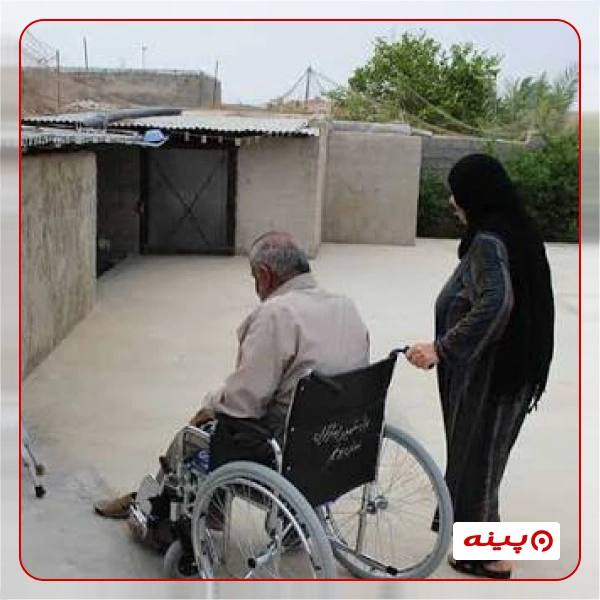 انجمن دفاع از حقوق معلولین ایران