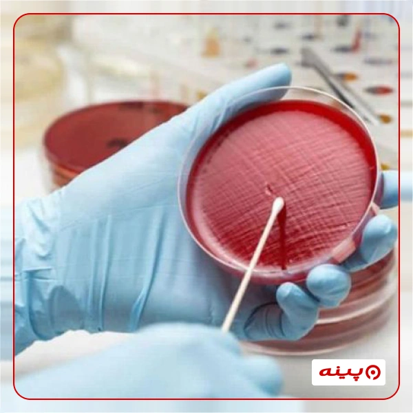 آزمایشگاه میرداماد تهران
