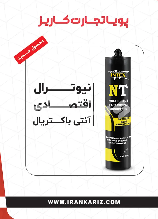 بیست و پنج