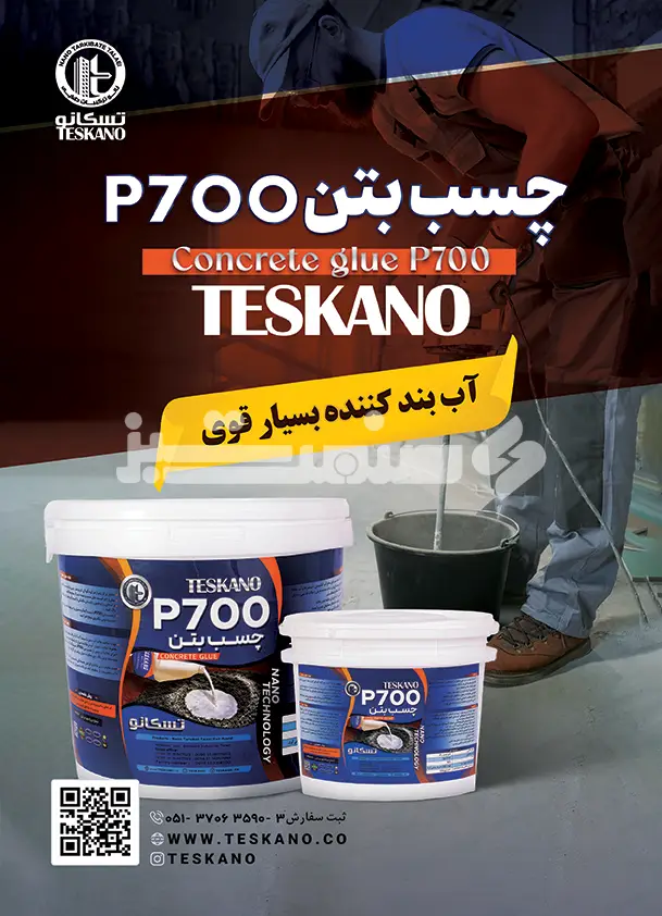 شصت و پنج