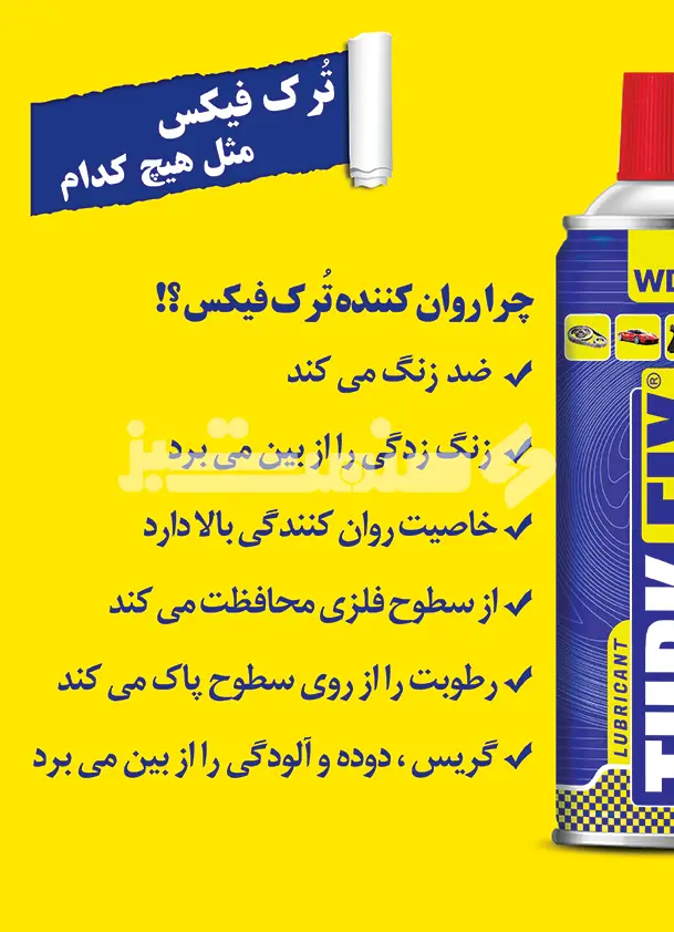 پشت روی جلد