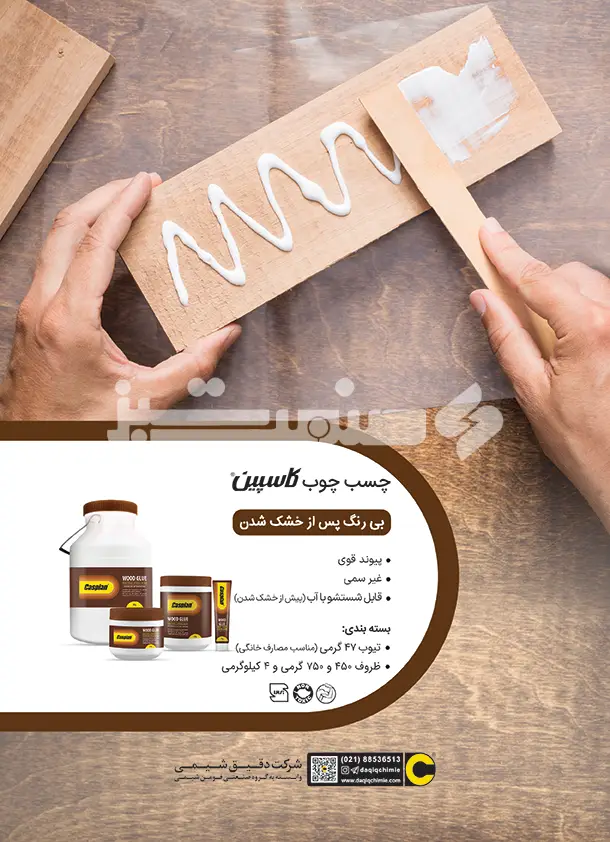 پشت پشت جلد