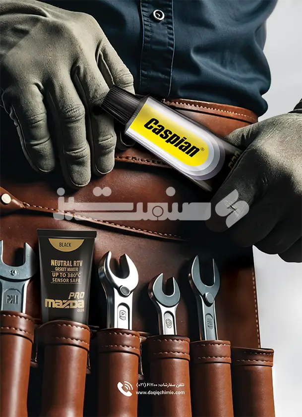 پشت پشت جلد